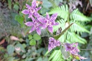 DSCF6916_R