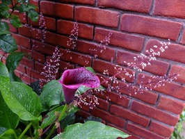DSCF3661_R