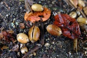 DSCF6758_R