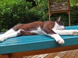DSCF8269_R