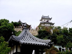 DSCF9588_R