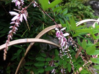 DSCF4481_R