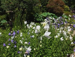 DSCF3682_R