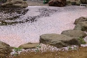 DSCF0649_R