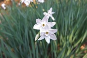 DSCF8758_R