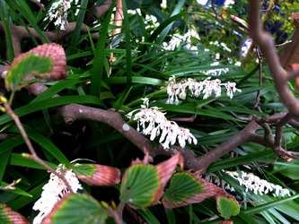 DSCF4484_R