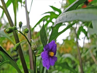 DSCF7409_R