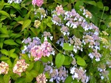 DSCF8085_R