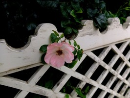DSCF3637_R