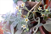 DSCF6932_R