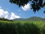 DSCF3433_R