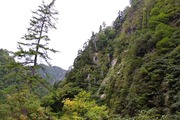 DSCF6337_R