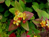 DSCF8370_R