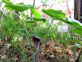 DSCF2172_R
