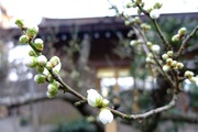DSCF9562_R