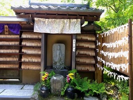 DSCF8802_R