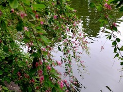 DSCF9393_R