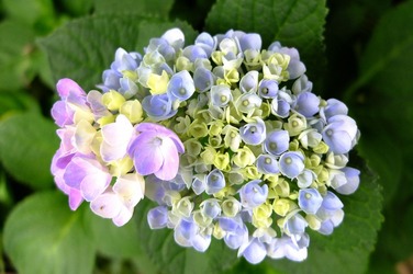 DSCF8560