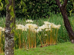 DSCF9370_R
