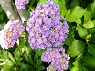 DSCF8015_R