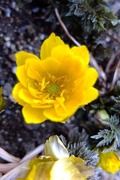 DSCF9581_R
