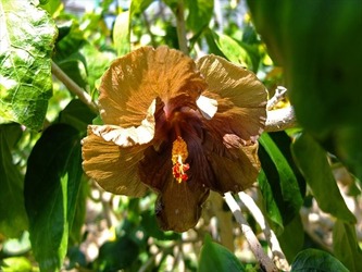 DSCF7835_R