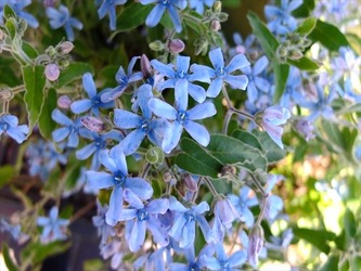 DSCF7964_R