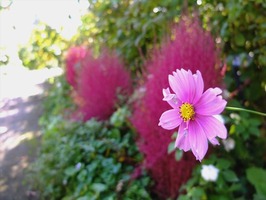 DSCF5728_R