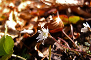 DSCF9506_R