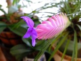 DSCF4966_R