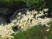 DSCF4886_R