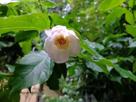 DSCF2943_R