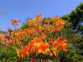 DSCF2086_R