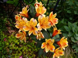 DSCF3068_R
