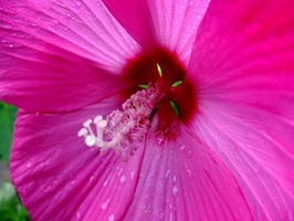 DSCF8898_R