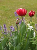 DSCF1336_R