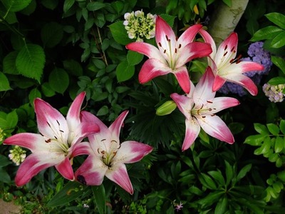 DSCF3099_R