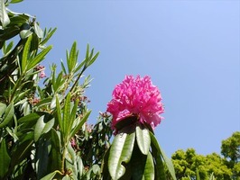 DSCF2083_R