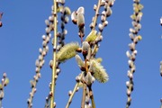DSCF0122_R