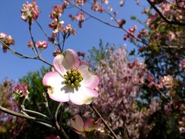 DSCF1879_R