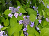 DSCF8088_R