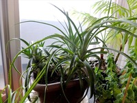 DSCF6075_R
