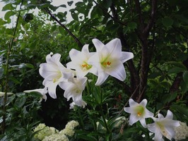 DSCF3585_R