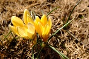 DSCF9619_R
