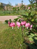 DSCF1706_R