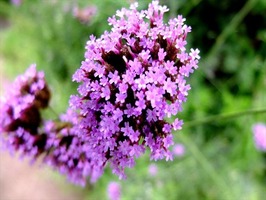 DSCF8907_R