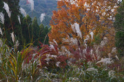 DSCF7865_R