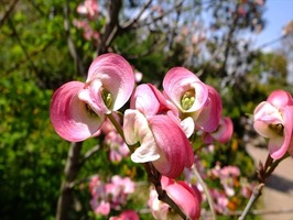 DSCF1817_R