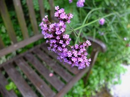 DSCF3609_R