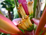 DSCF7881_R